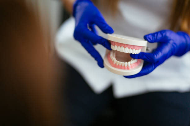 Best Dentures (Full and Partial)  in Celina, OH